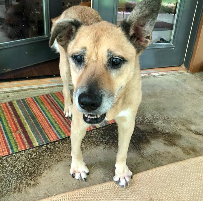 Helena Bonham Carter